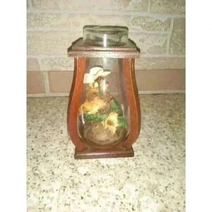 Vintage Wooden 1970's Dried Flower Butterfly Arrangement Sealed House Decor